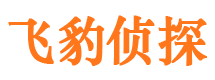 高密私家调查公司